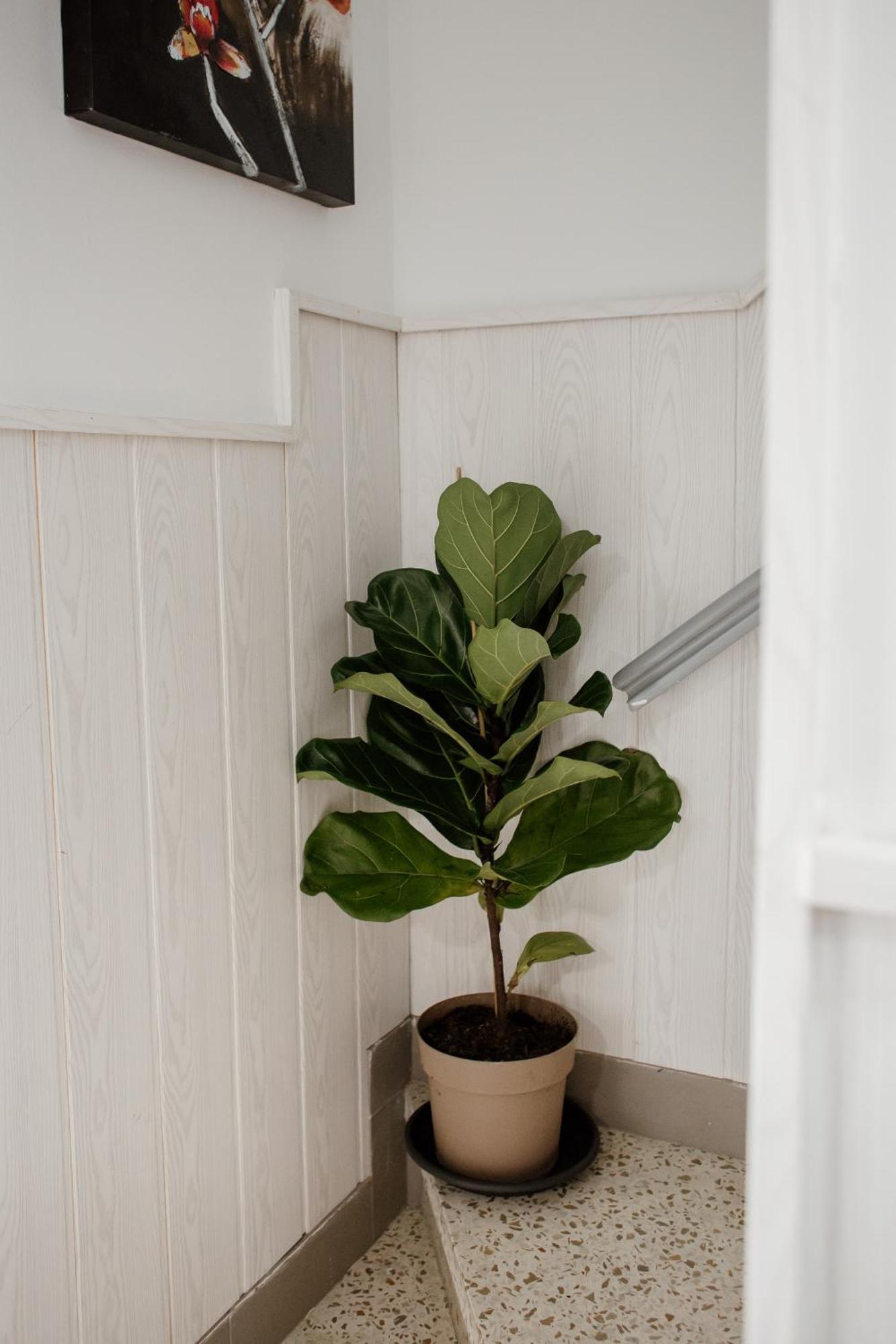Apartamentos Turisticos Mastil 16 Malaga Luaran gambar